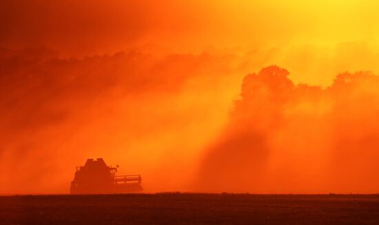 Russia Agriculture Wheat Harvesting