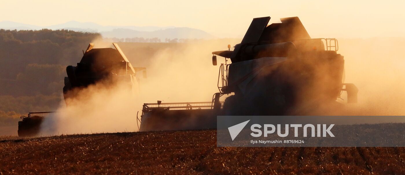 Russia Agriculture Wheat Harvesting