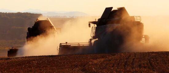 Russia Agriculture Wheat Harvesting