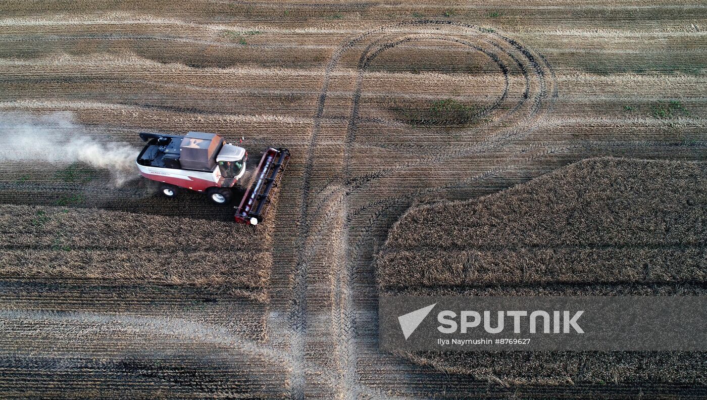 Russia Agriculture Wheat Harvesting