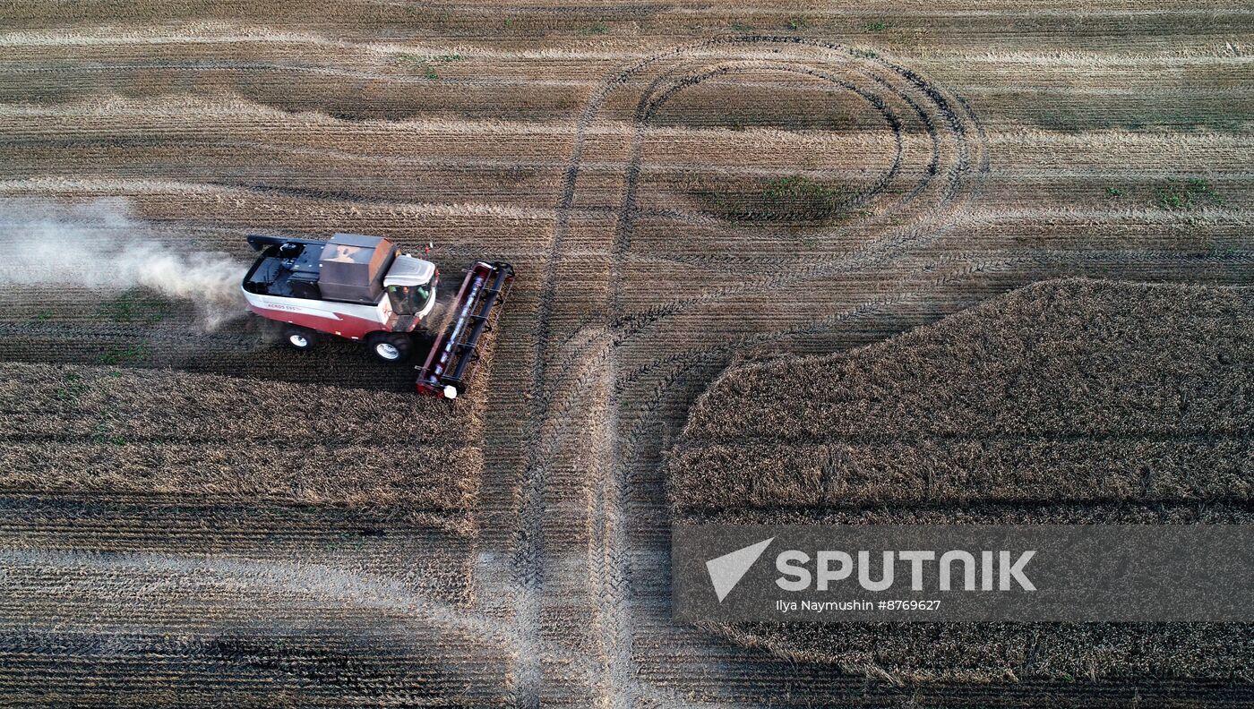 Russia Agriculture Wheat Harvesting