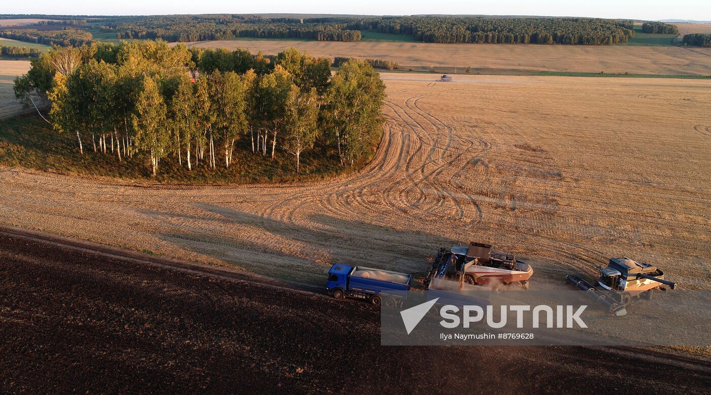 Russia Agriculture Wheat Harvesting