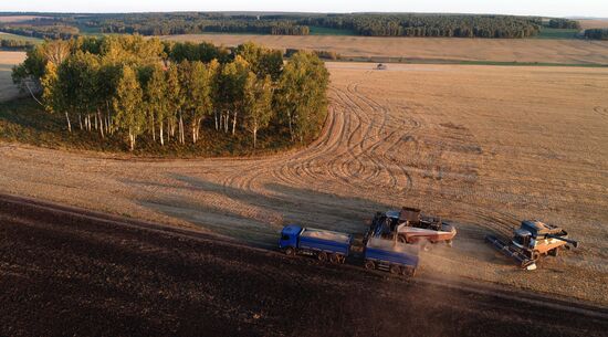 Russia Agriculture Wheat Harvesting