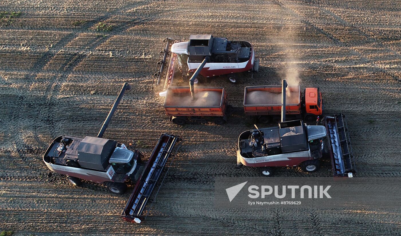 Russia Agriculture Wheat Harvesting