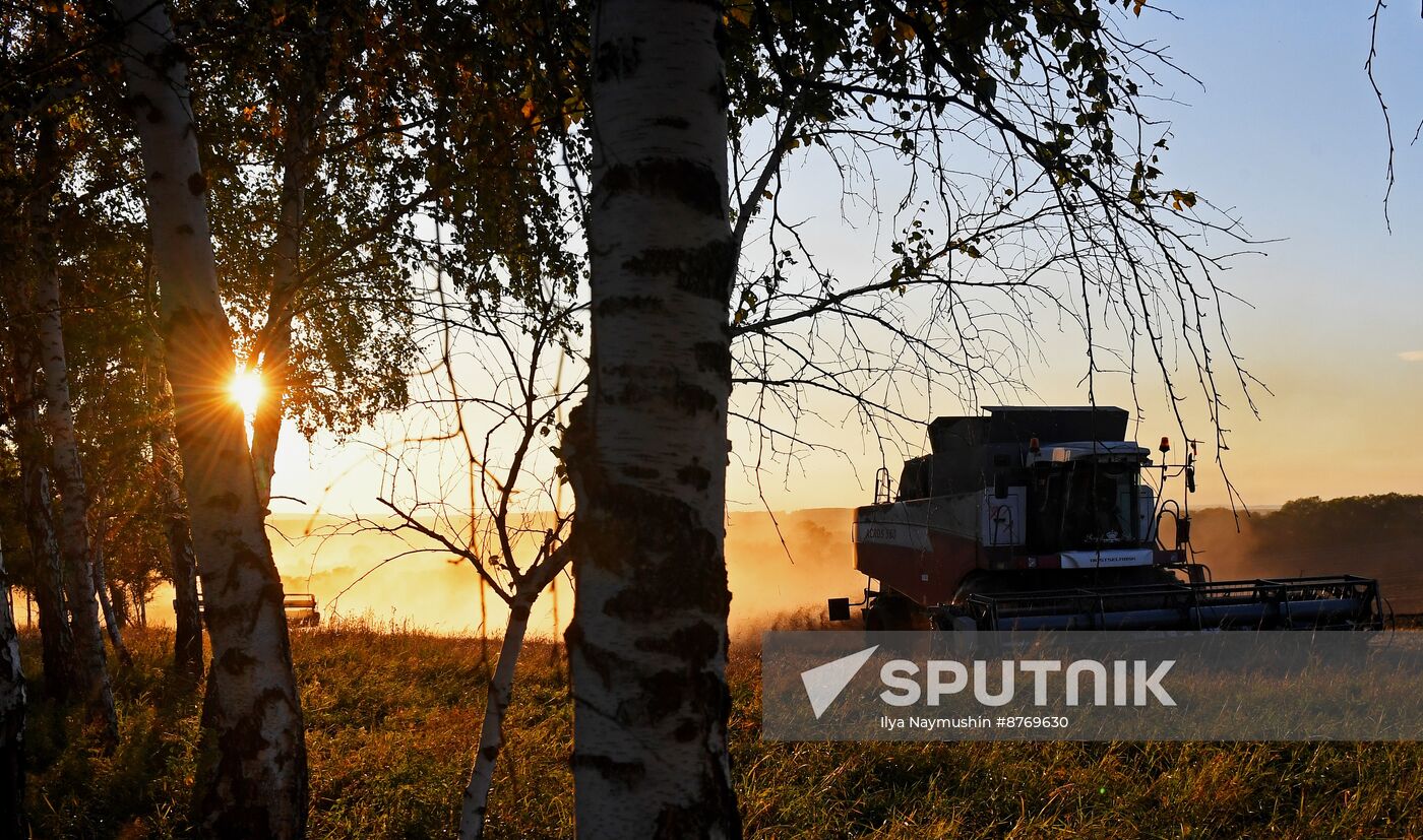 Russia Agriculture Wheat Harvesting