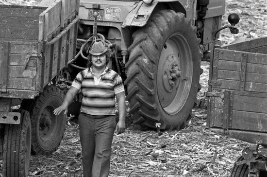 Kuban Collective Farm in Crimean District