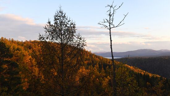 Russia Environment