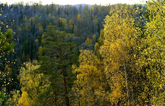 Russia Environment