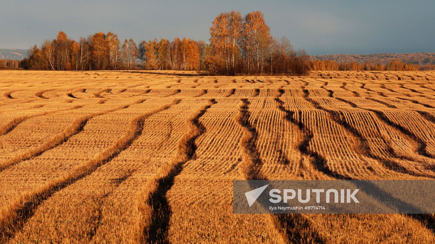 Russia Environment