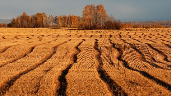 Russia Environment