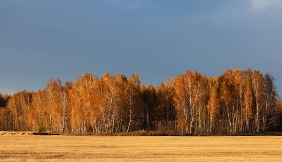 Russia Environment