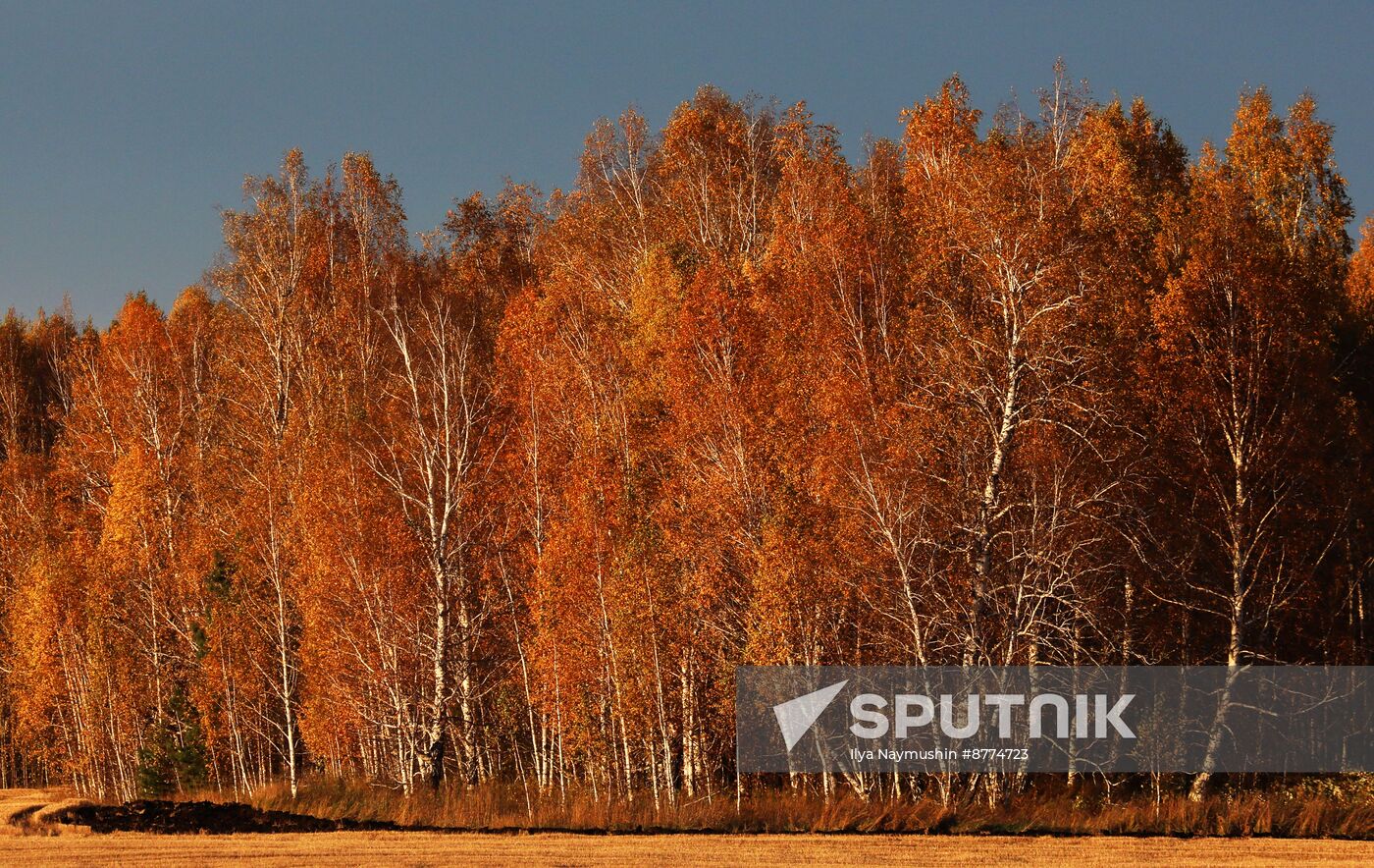 Russia Environment