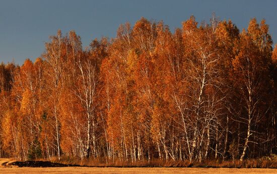 Russia Environment