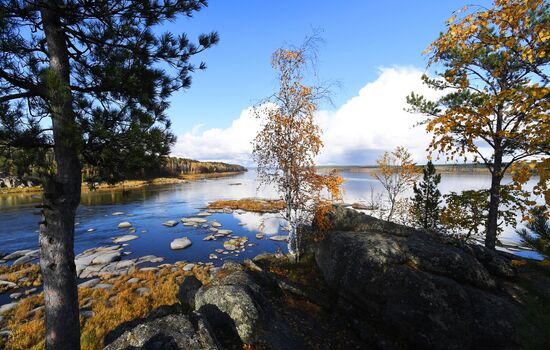 Russia Environment