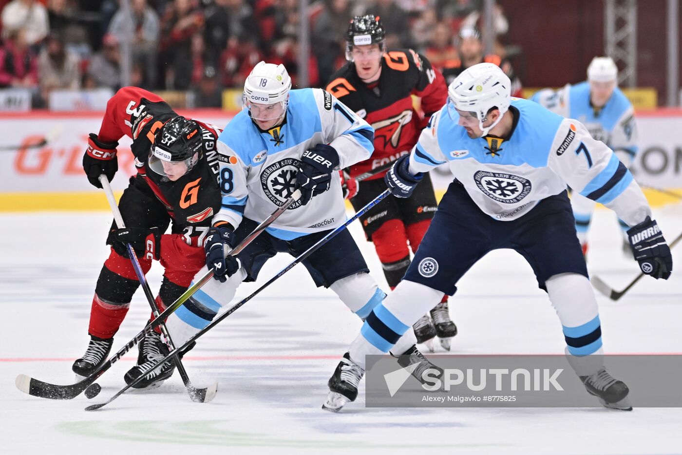 Russia Ice Hockey Kontinental League Avangard - Sibir