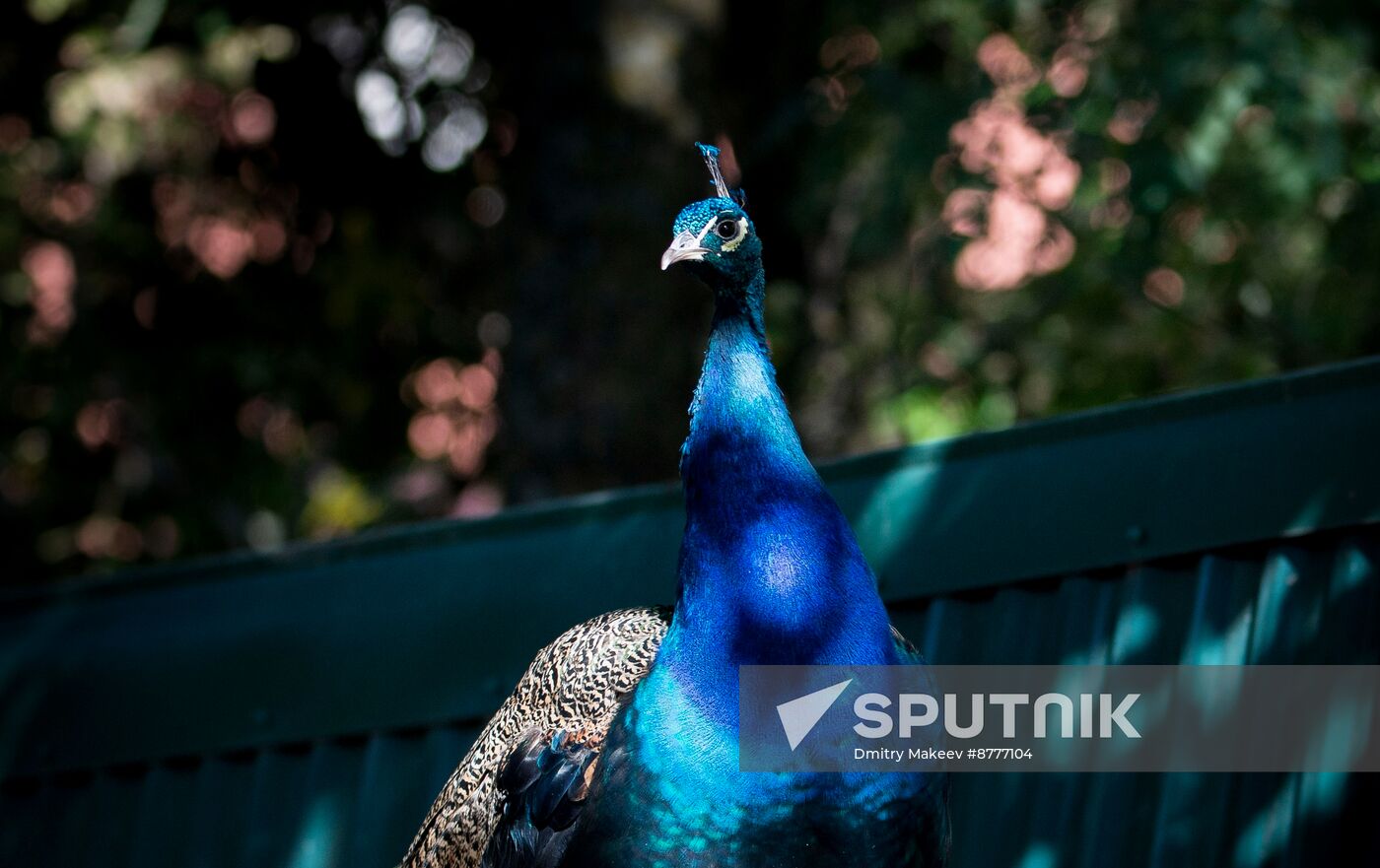 Russia Kherson Region Nature Reserve