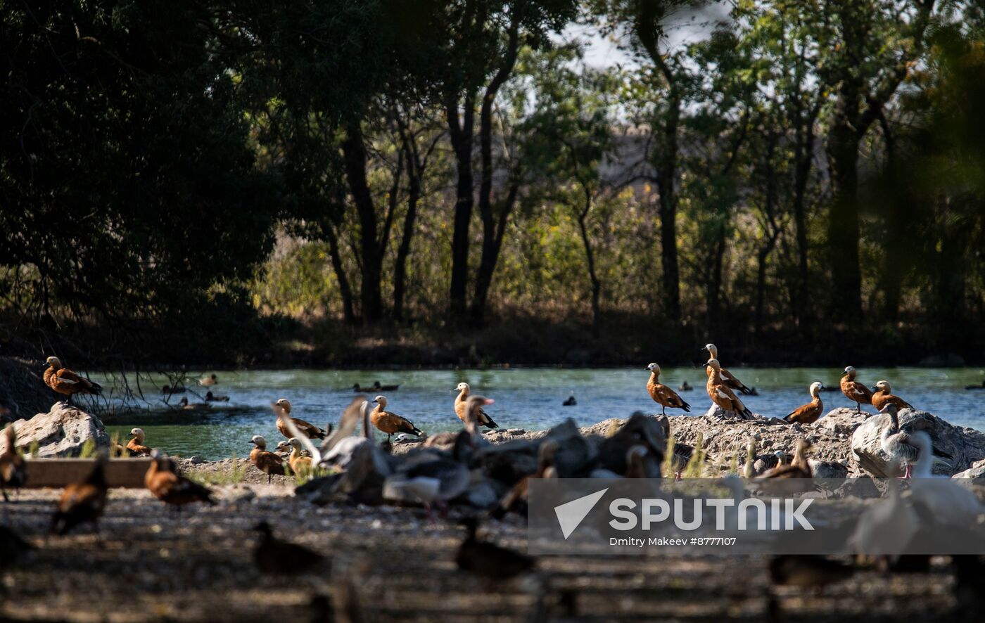 Russia Kherson Region Nature Reserve