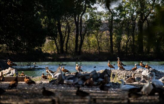 Russia Kherson Region Nature Reserve