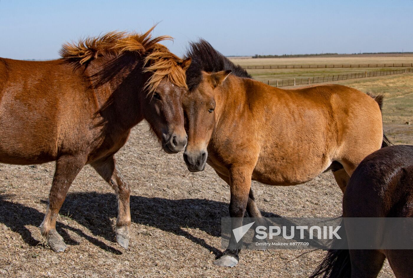 Russia Kherson Region Nature Reserve