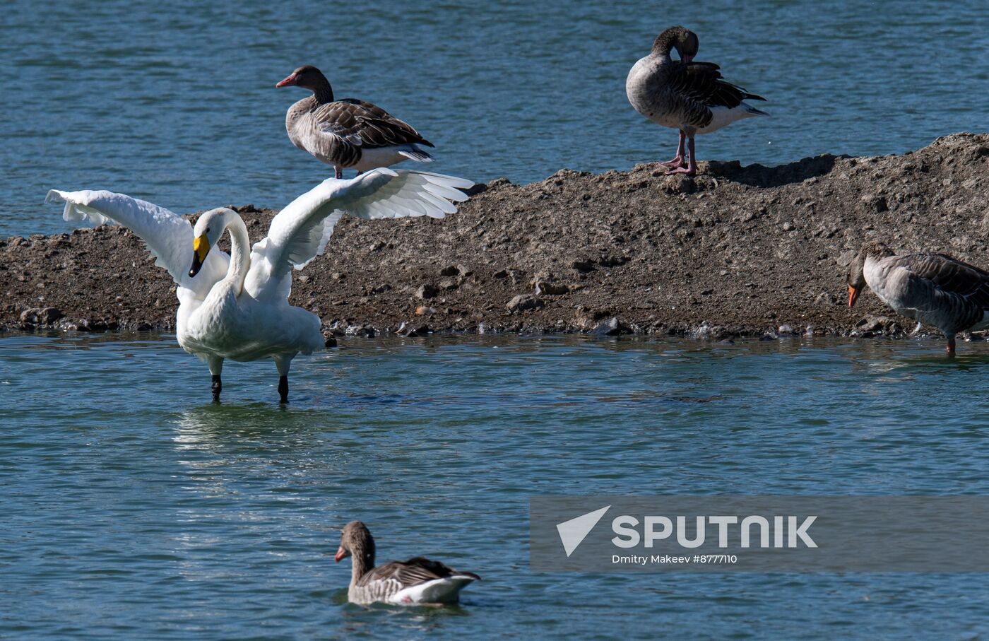 Russia Kherson Region Nature Reserve