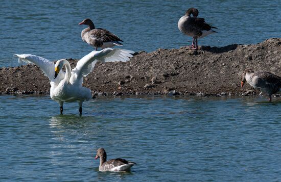 Russia Kherson Region Nature Reserve