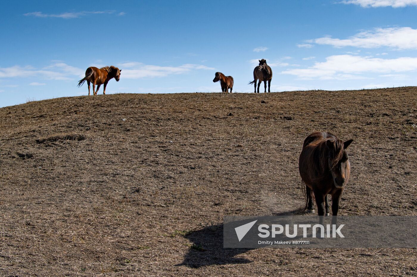 Russia Kherson Region Nature Reserve