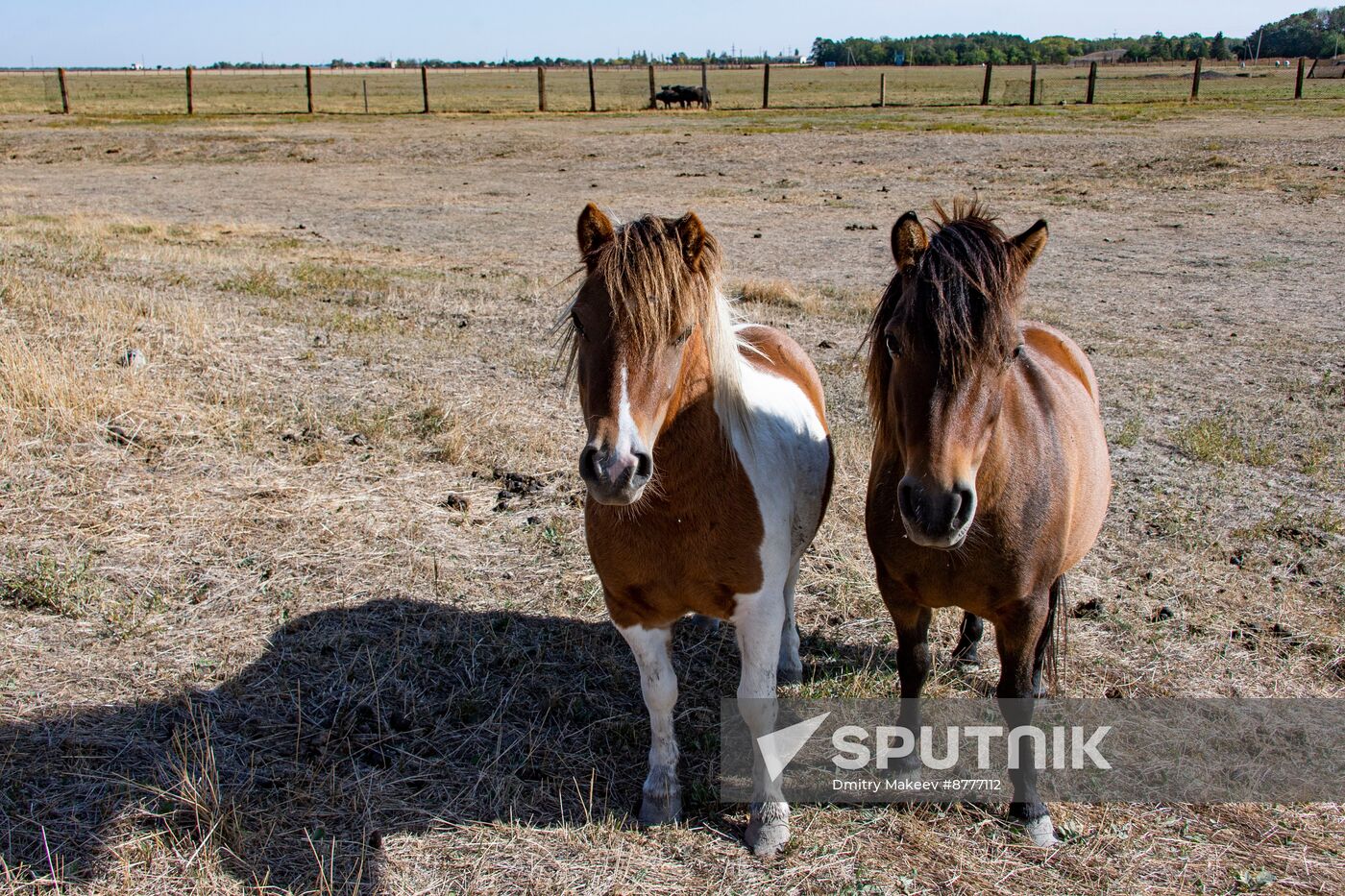 Russia Kherson Region Nature Reserve