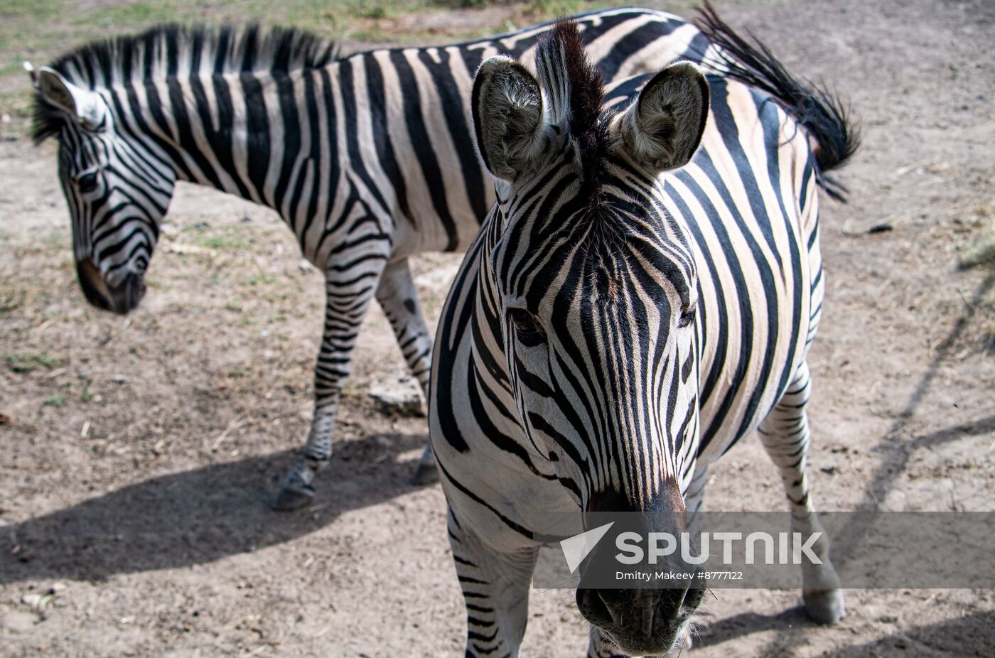 Russia Kherson Region Nature Reserve