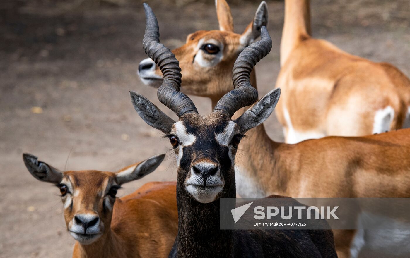 Russia Kherson Region Nature Reserve