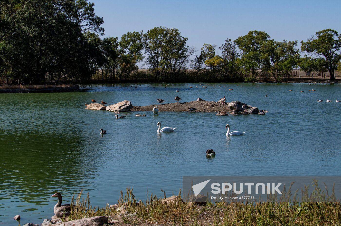 Russia Kherson Region Nature Reserve