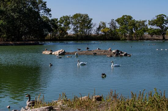 Russia Kherson Region Nature Reserve