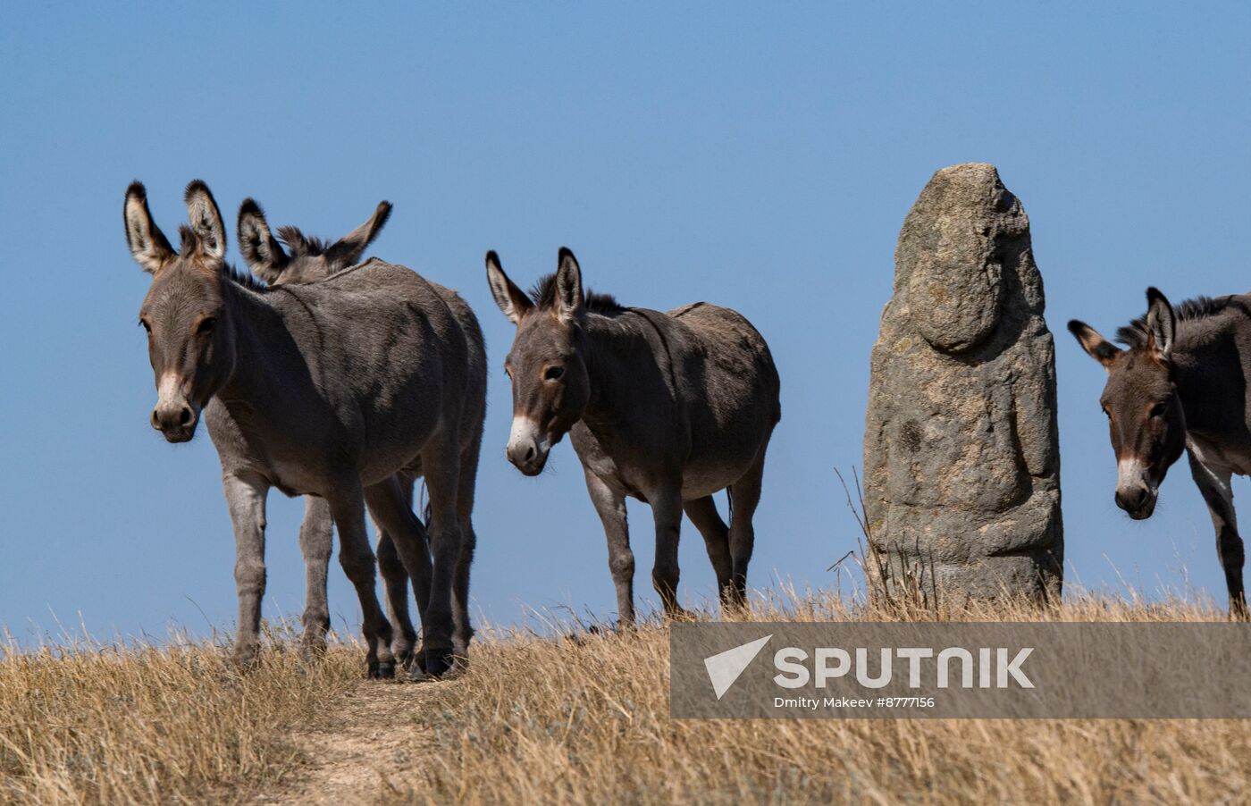 Russia Kherson Region Nature Reserve