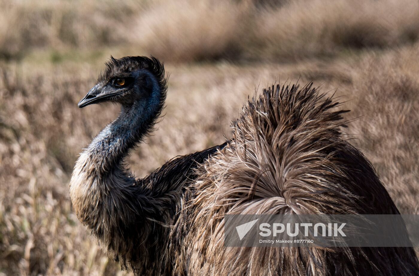 Russia Kherson Region Nature Reserve