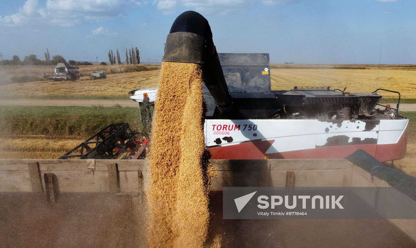 Russia Rice Harvesting