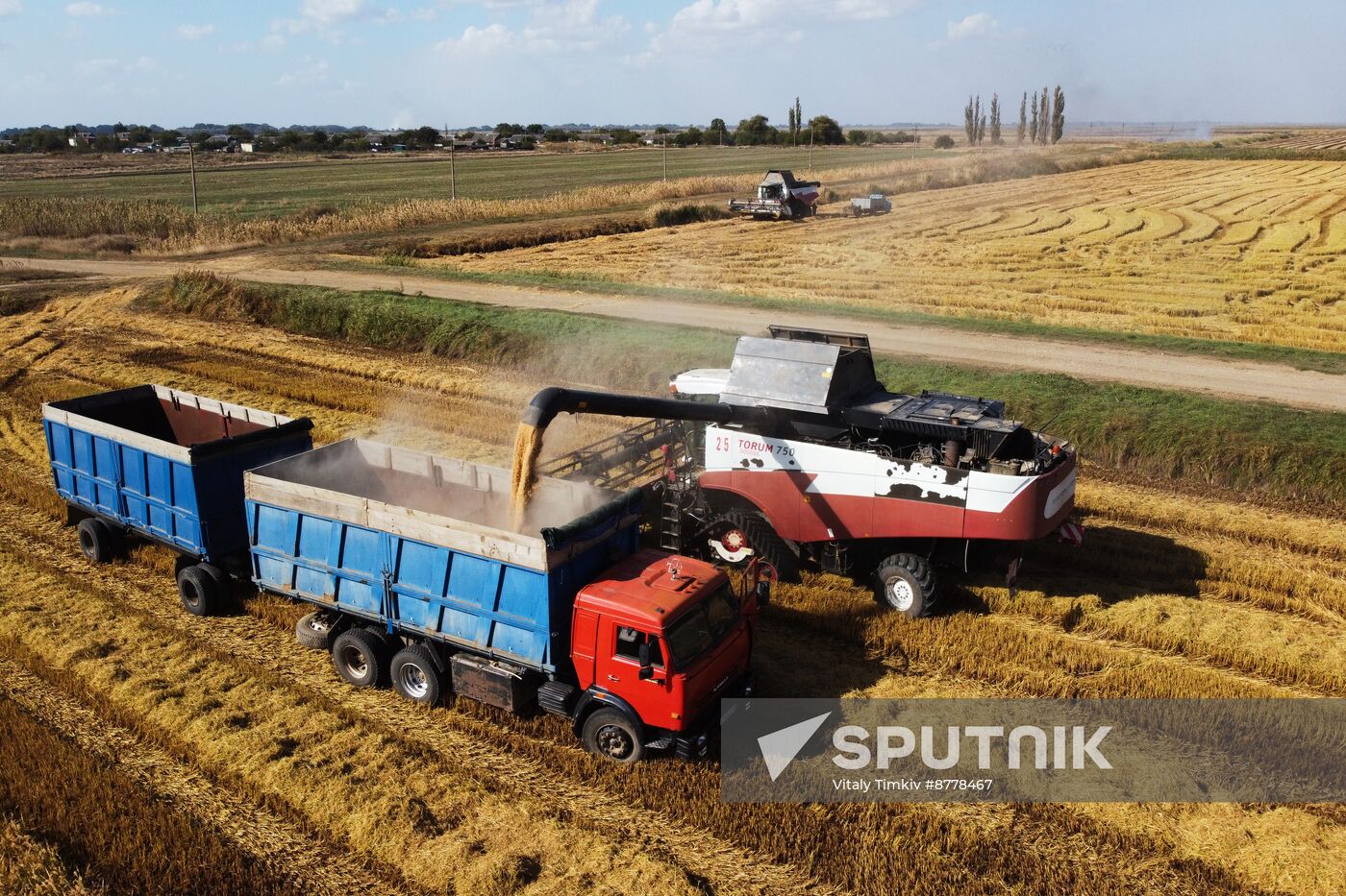 Russia Rice Harvesting