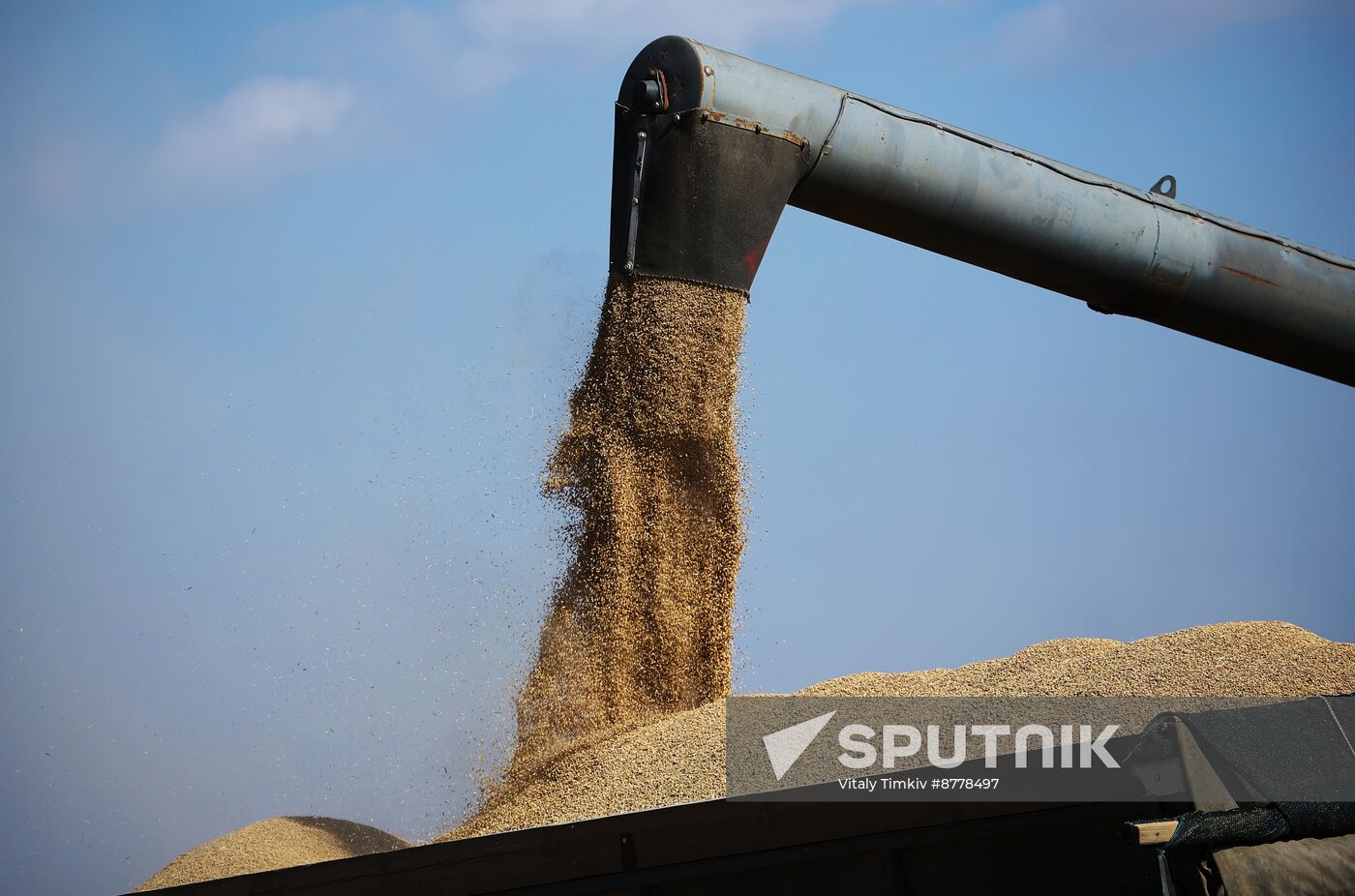 Russia Rice Harvesting