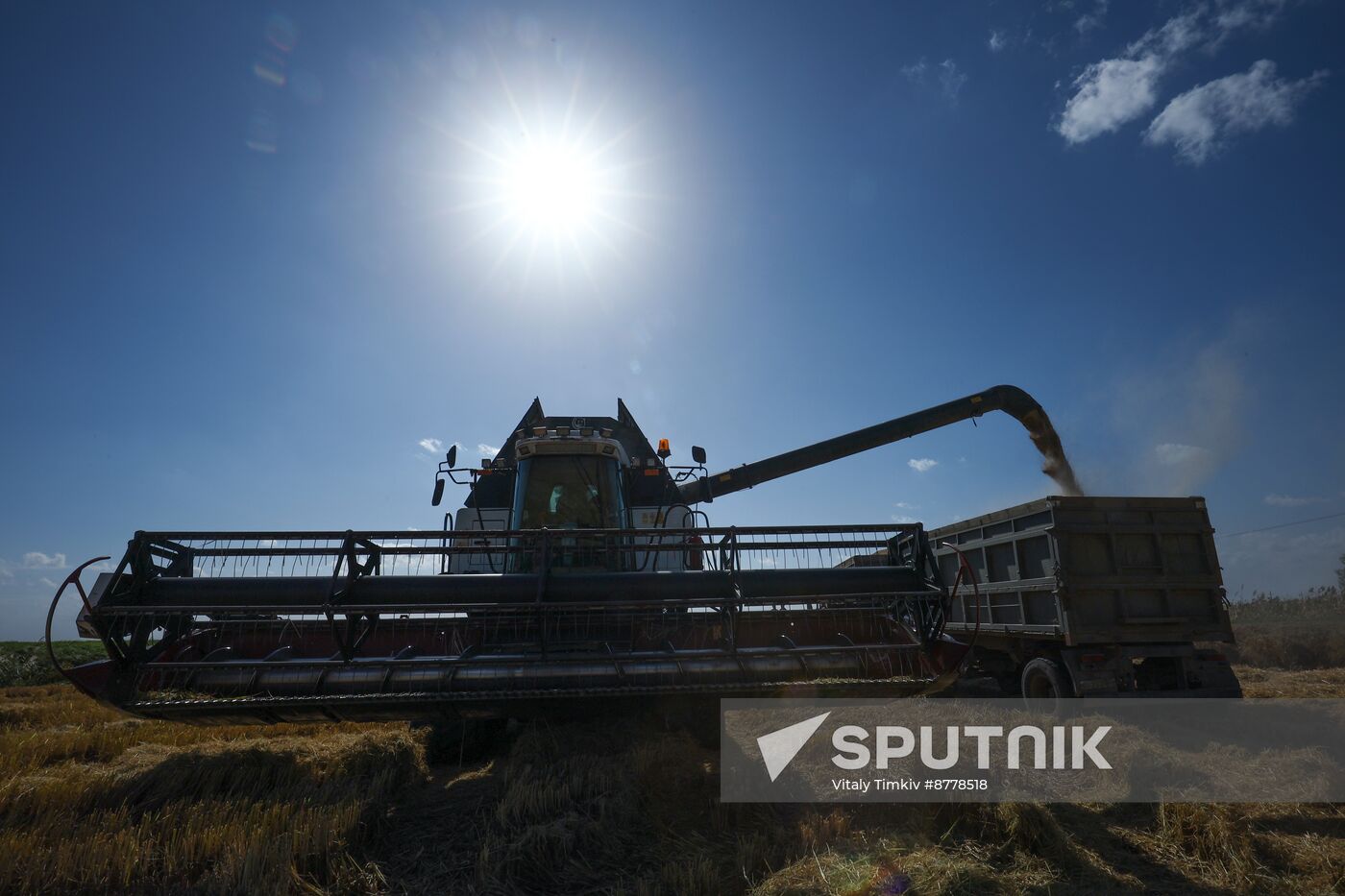 Russia Rice Harvesting