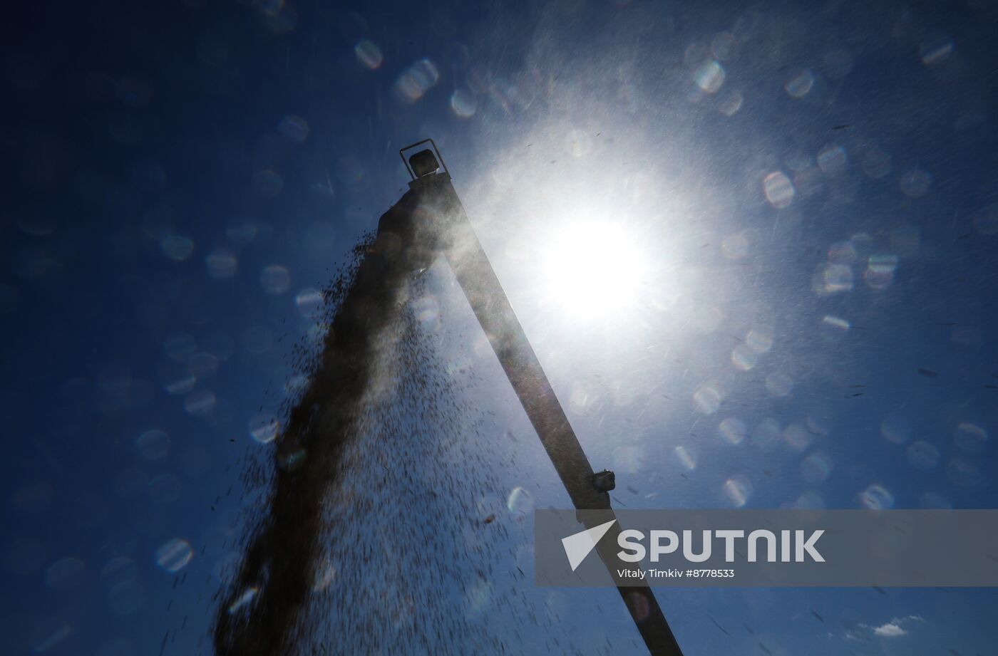 Russia Rice Harvesting