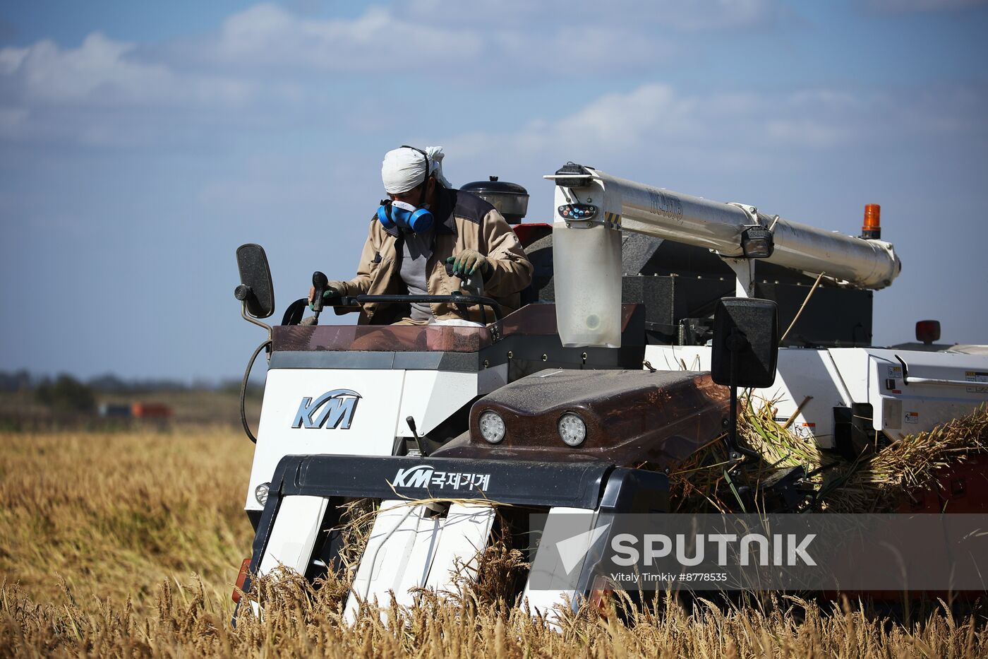 Russia Rice Harvesting