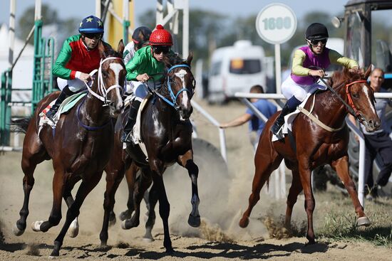 Russia Horse Race