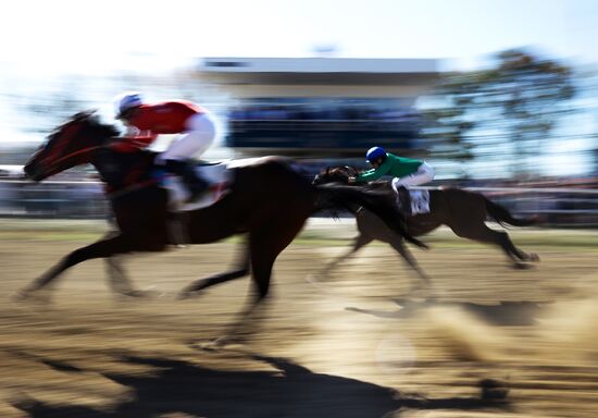 Russia Horse Race