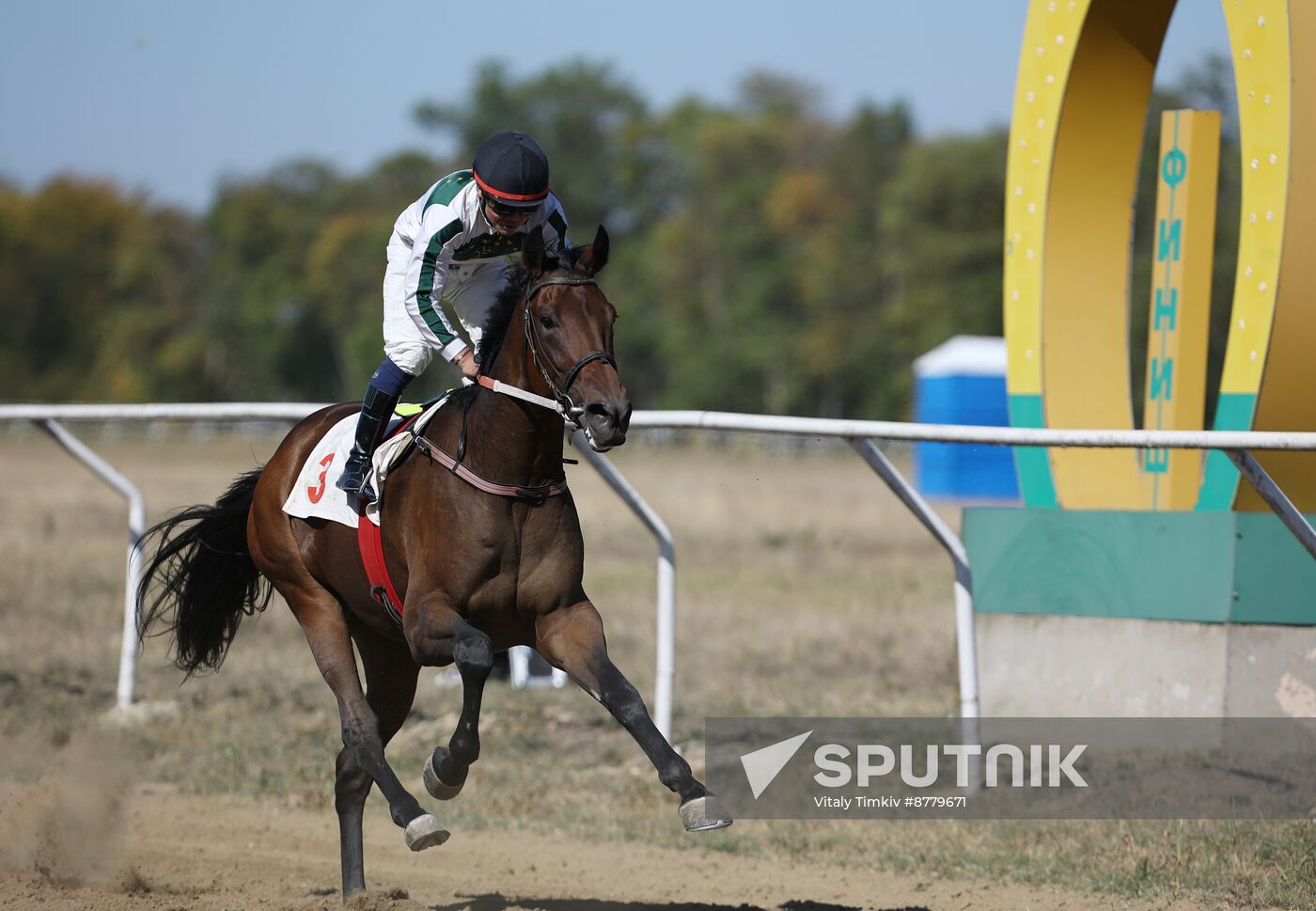 Russia Horse Race