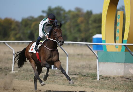 Russia Horse Race