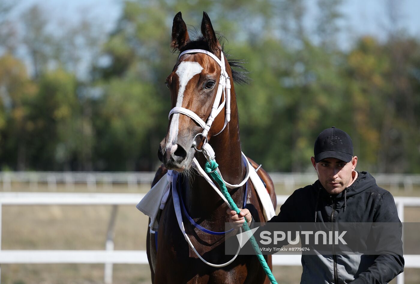 Russia Horse Race