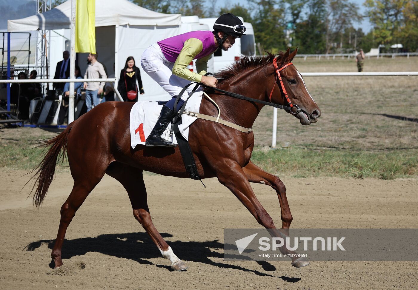 Russia Horse Race