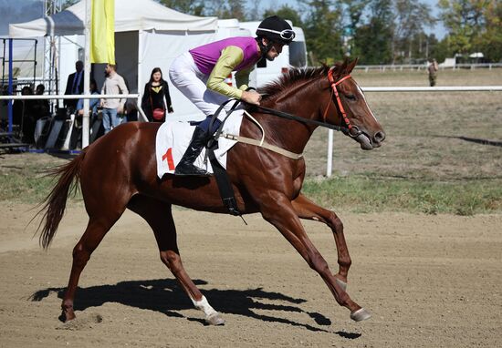 Russia Horse Race