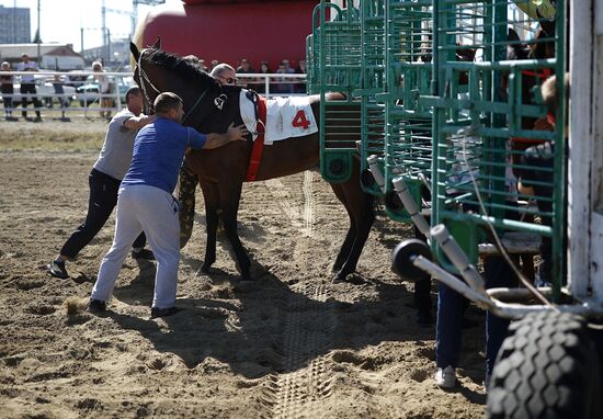Russia Horse Race
