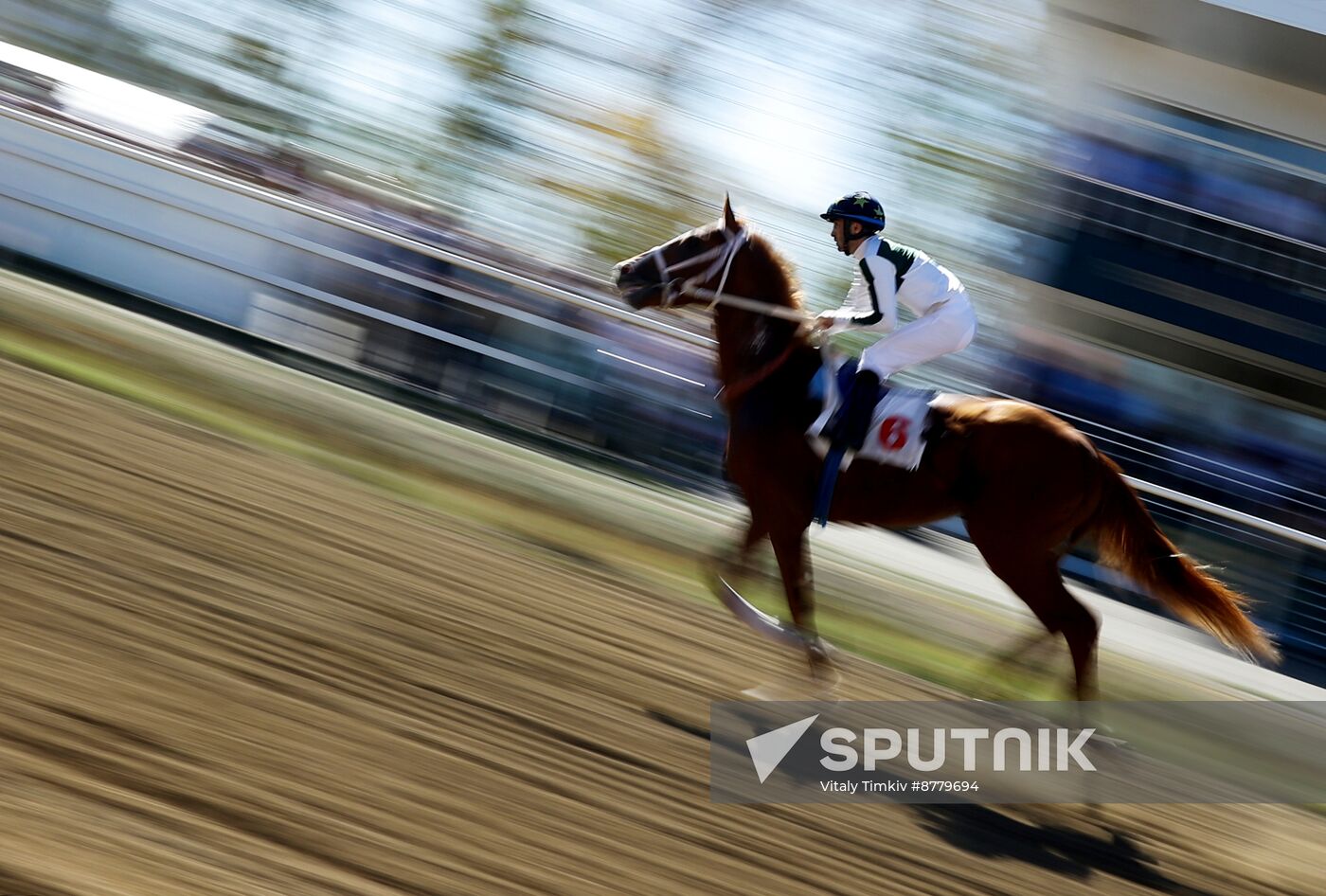 Russia Horse Race