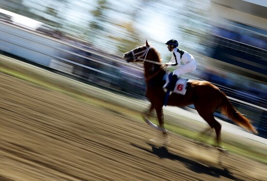 Russia Horse Race