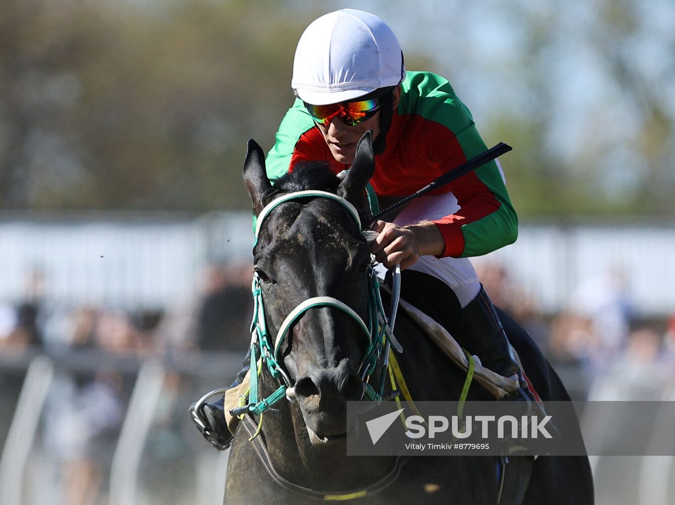 Russia Horse Race